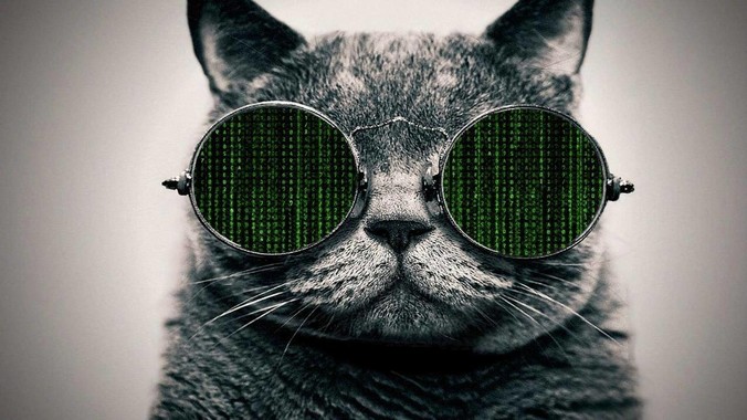 2025年，为什么很多程序员都扔掉了Mac和Linux，开始拥抱Win11了？